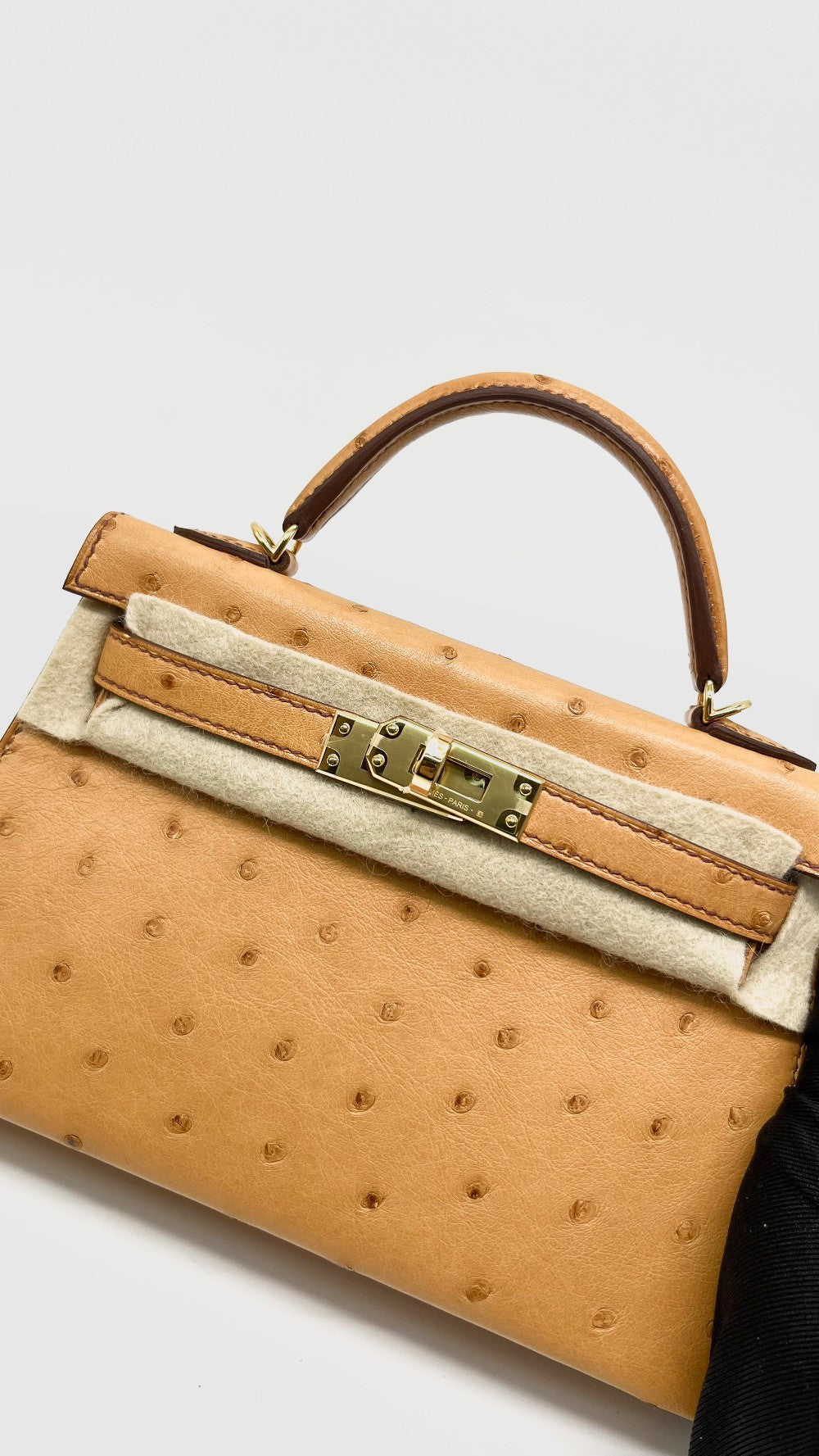 Brand New. Hermes Mini Kelly Ostrich Cognac GHW. BHT207AS|15349