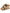 Preowned. Dior Evolution Slides Nude. 36|9024