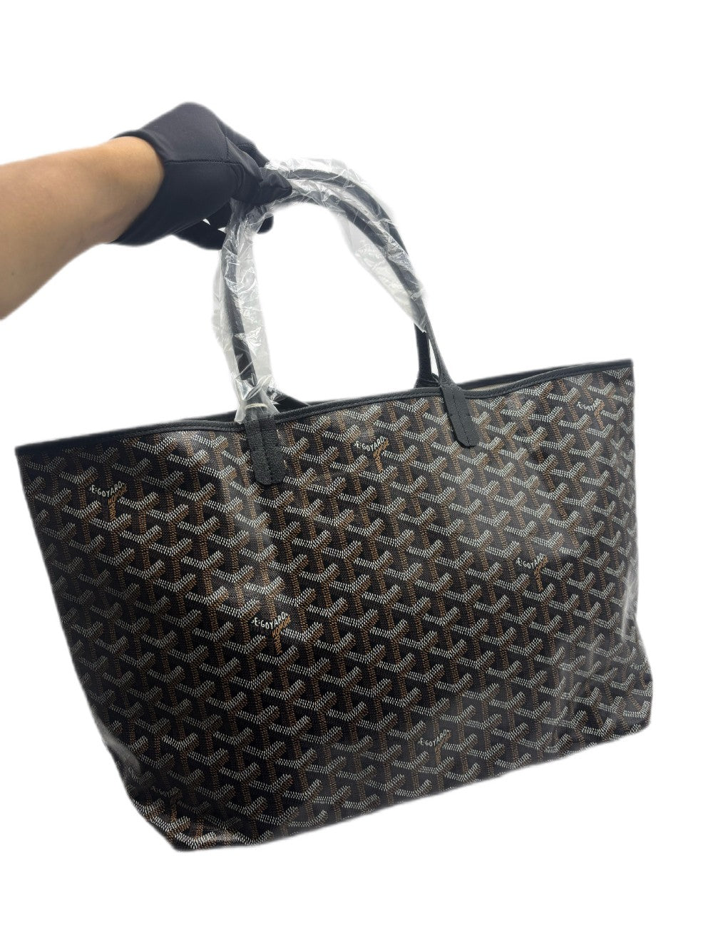 Brand New. Goyard St. Louis PM Black. CHN020263|17145
