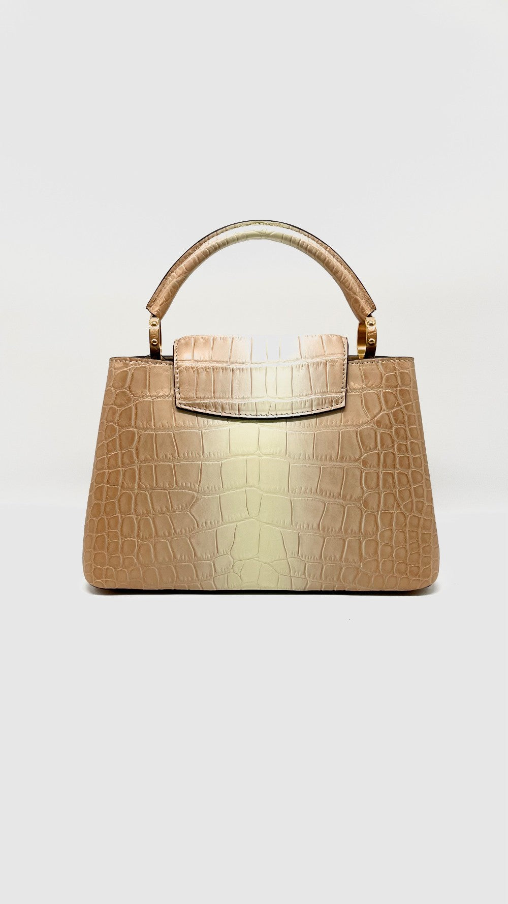 Brand New. LV Capucines PM Croc|7835