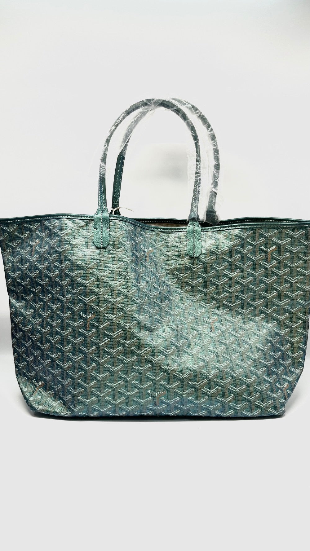Brand New. Goyard St. Louis PM Metallic Green. CHN020248|11421