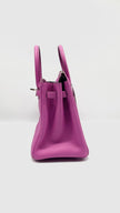 Preowned. Hermes Birkin 25 Magnolia Togo PHW. CPY529UG|10377