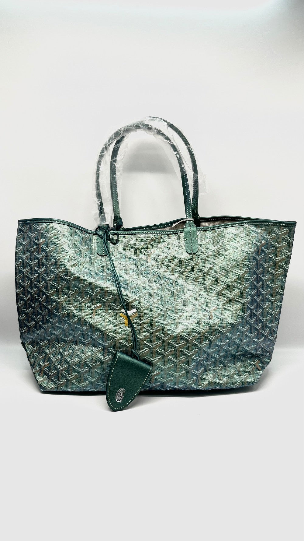 Brand New. Goyard St. Louis PM Metallic Green. CHN020248|11418