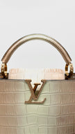 Brand New. LV Capucines PM Croc|7837